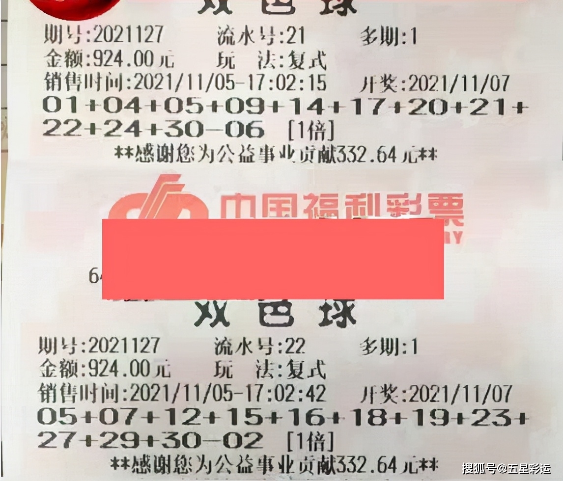 2019066期双色球开奖结果查询，揭秘幸运数字，共赴梦想之旅