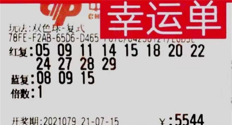 2019029期双色球开奖结果揭晓，幸运数字照亮梦想之光