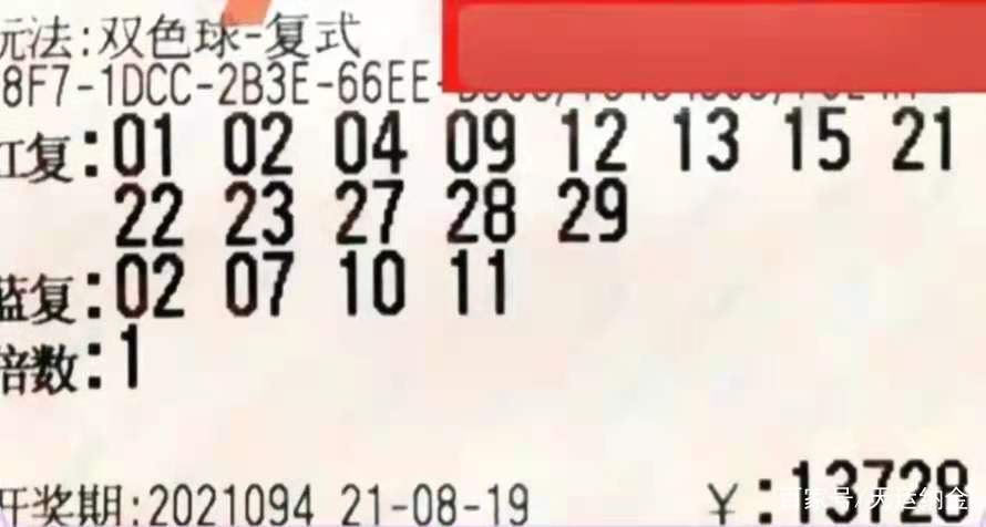 双色球2022年61期，梦想与机遇的碰撞