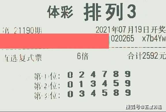 揭秘今日3D彩票开奖结果，数字背后的幸运与期待