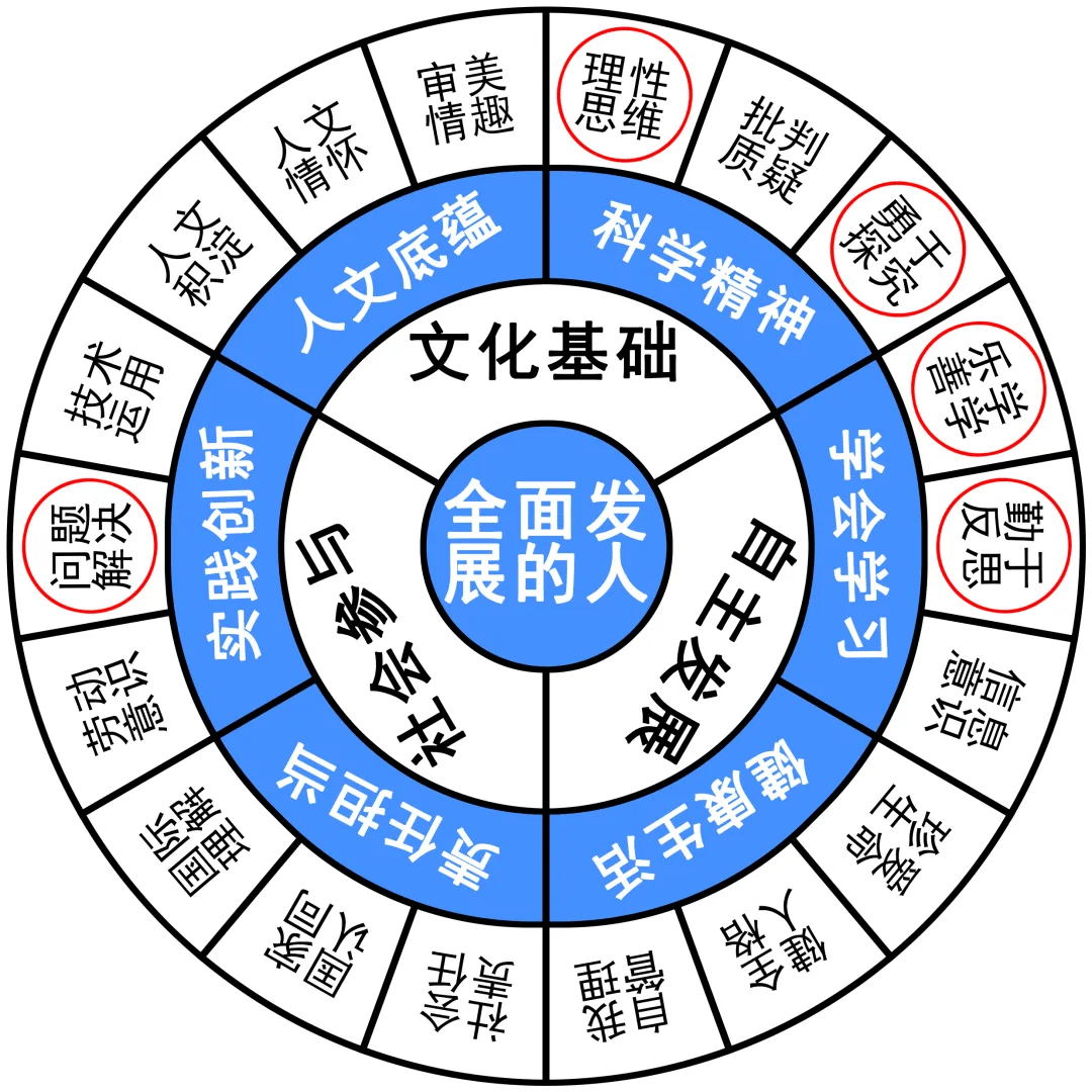 47期彩票号码揭秘，科学理性与幸运的碰撞