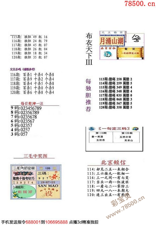 必中六肖 第96页