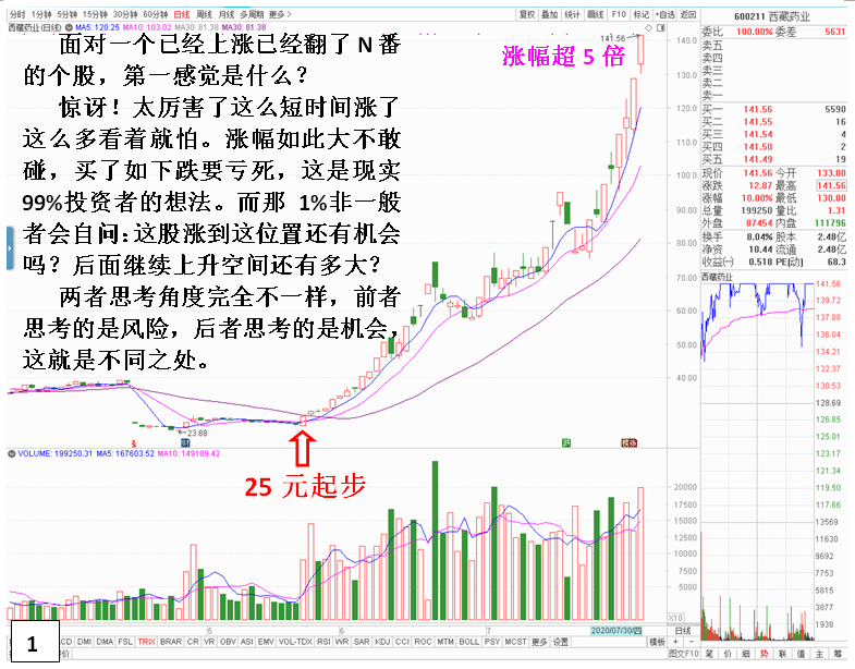 探索体彩开奖走势图专业版，深度解析与理性投注的桥梁