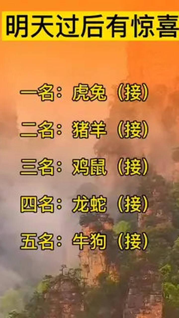 探索六合生肖属性，传统智慧与现代解读的交融