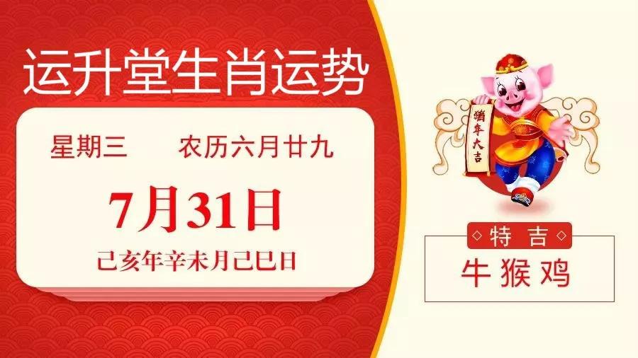 今日聚焦，体彩31选7开奖揭秘，幸运数字的魅力瞬间