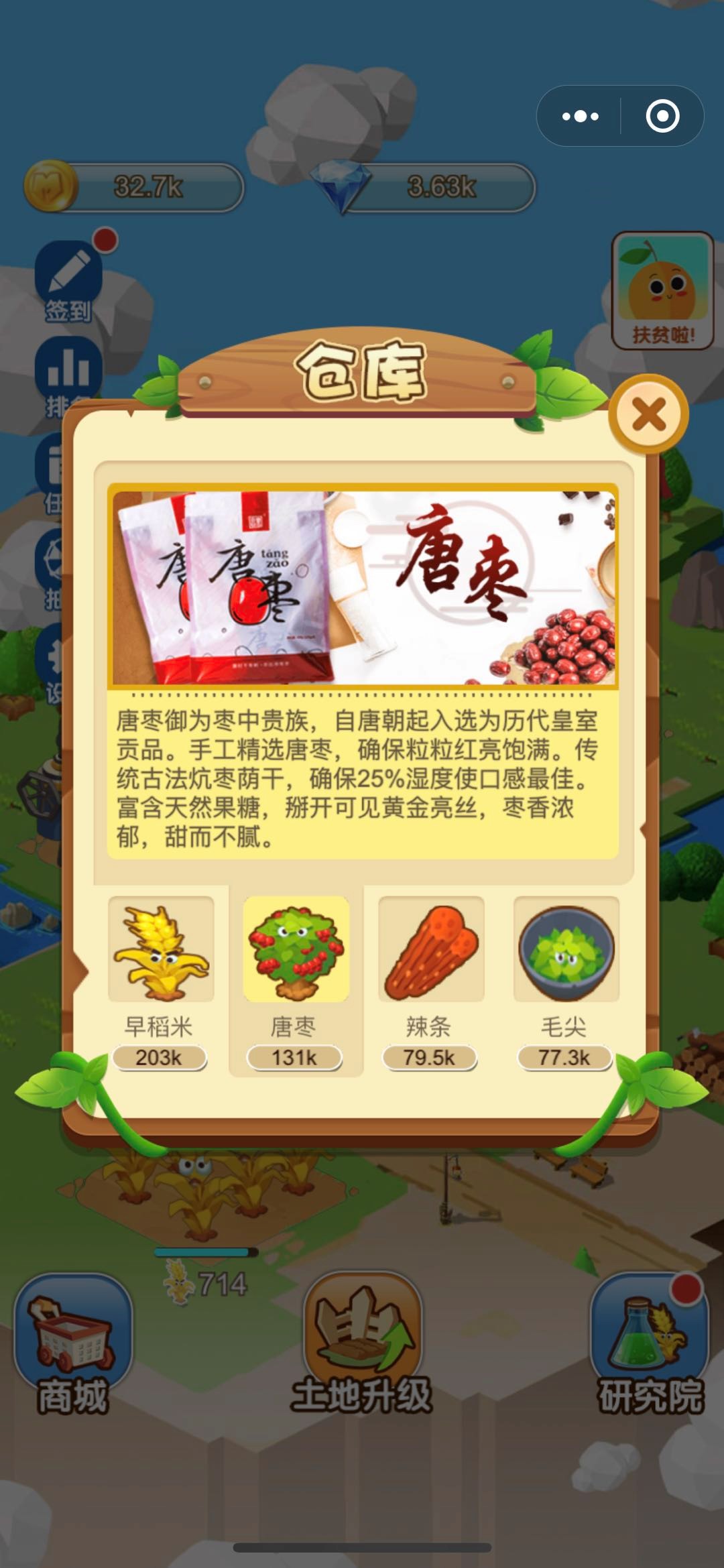 探秘布衣字谜总汇，传统文化的智慧与乐趣
