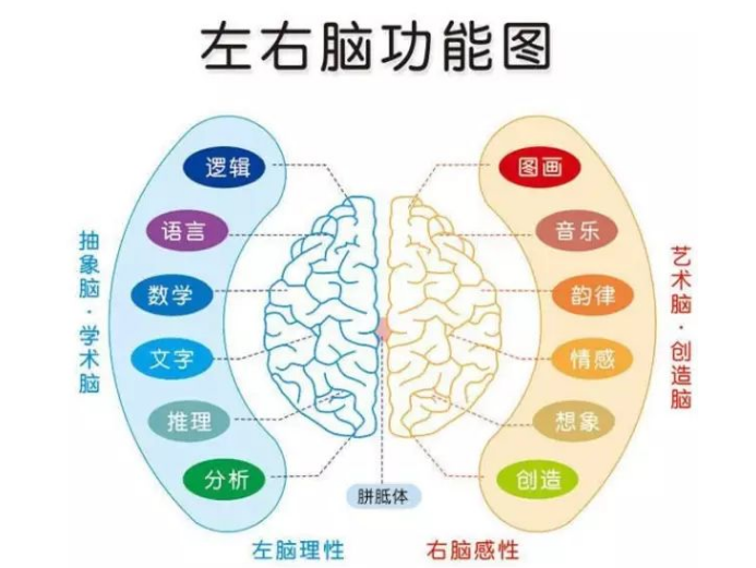 澳门最准一肖预测