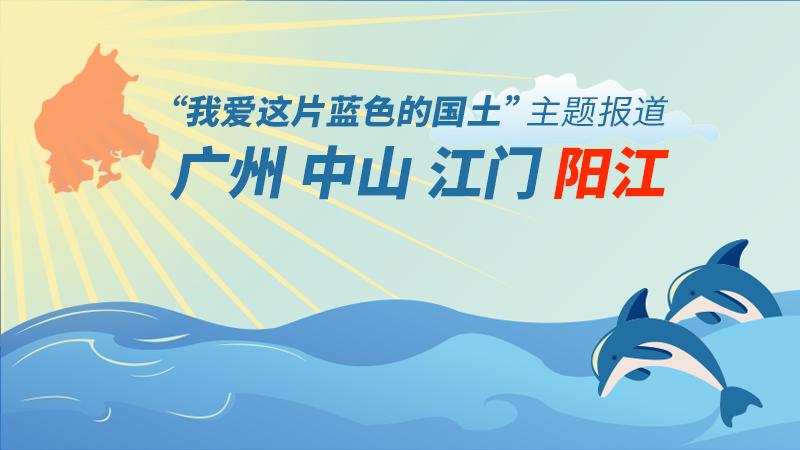 探索知识海洋，正版免费资料大全945的魅力与价值正版免费资料大全一2019