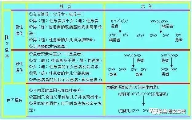 揭秘四肖选一中的中特策略—精准预测的奥秘四肖选一肖一特