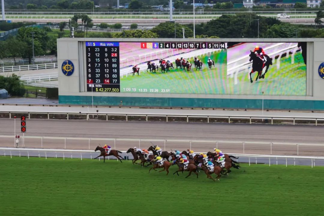 2019香港马会资料大全，全面解析与免费获取指南香港2021年马会资料大全