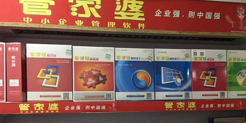 管家婆全年资料，企业运营的智慧之眼管家婆的
