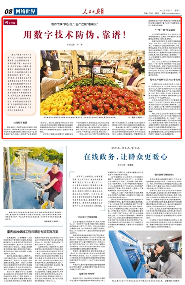 澳门一肖与精准预测，揭秘背后的数字游戏澳门一肖一码100%澳门码