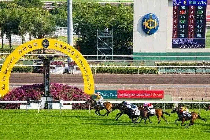 探索香港马会资料，历史、功能与影响港香六个彩今期资料