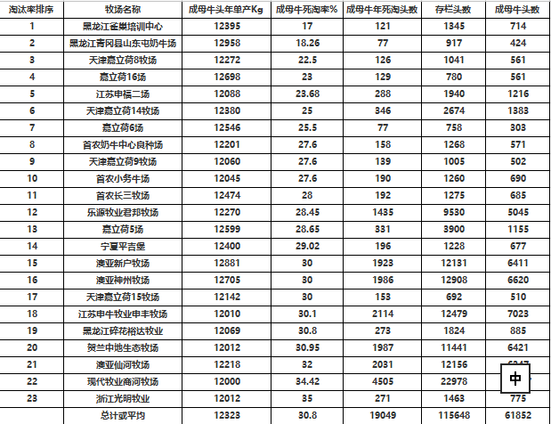 澳门6合彩开奖结果查询表，最新版下载与安装指南澳门66期开奖结果查询表最新版下载安装手机