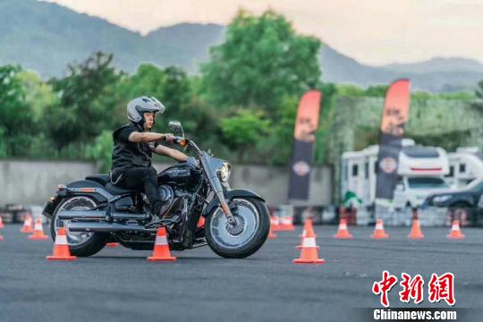 澳门64届摩托车赛事，速度与激情的直播回放盛宴澳门66届摩托车赛事直播回放视频下载